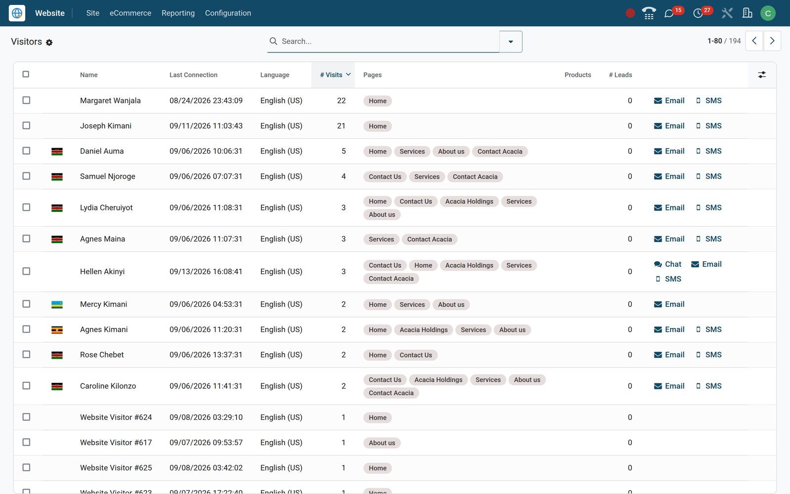 BridgeERP website Visitors kanban with visit counts and countries