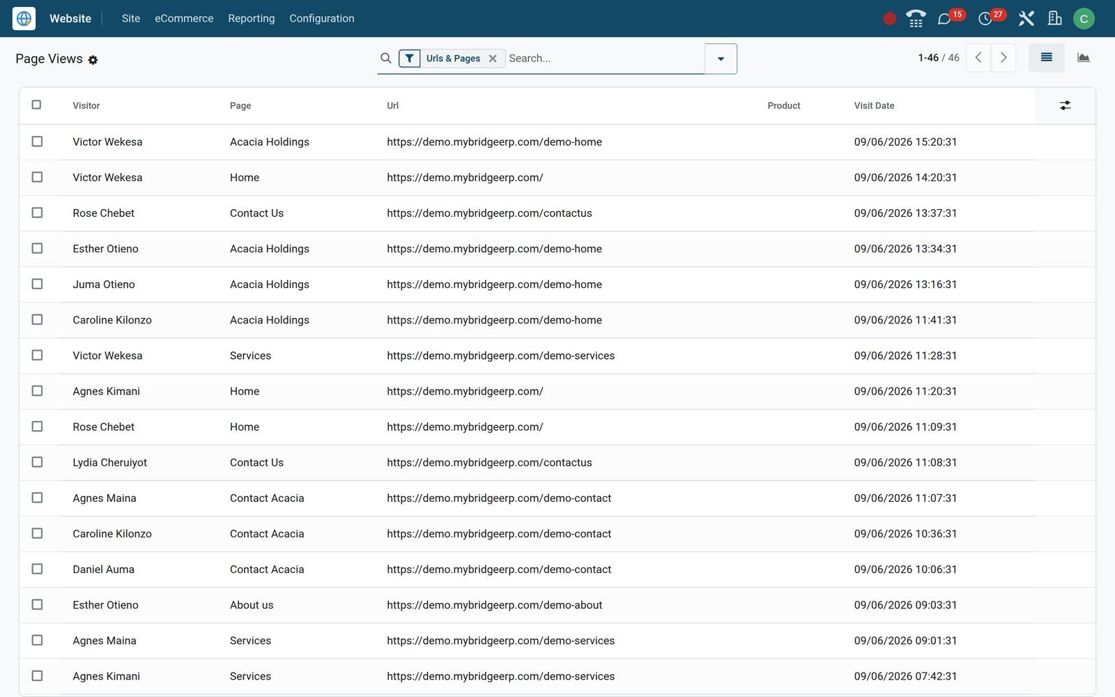BridgeERP Page Views list with visitors, pages and visit times