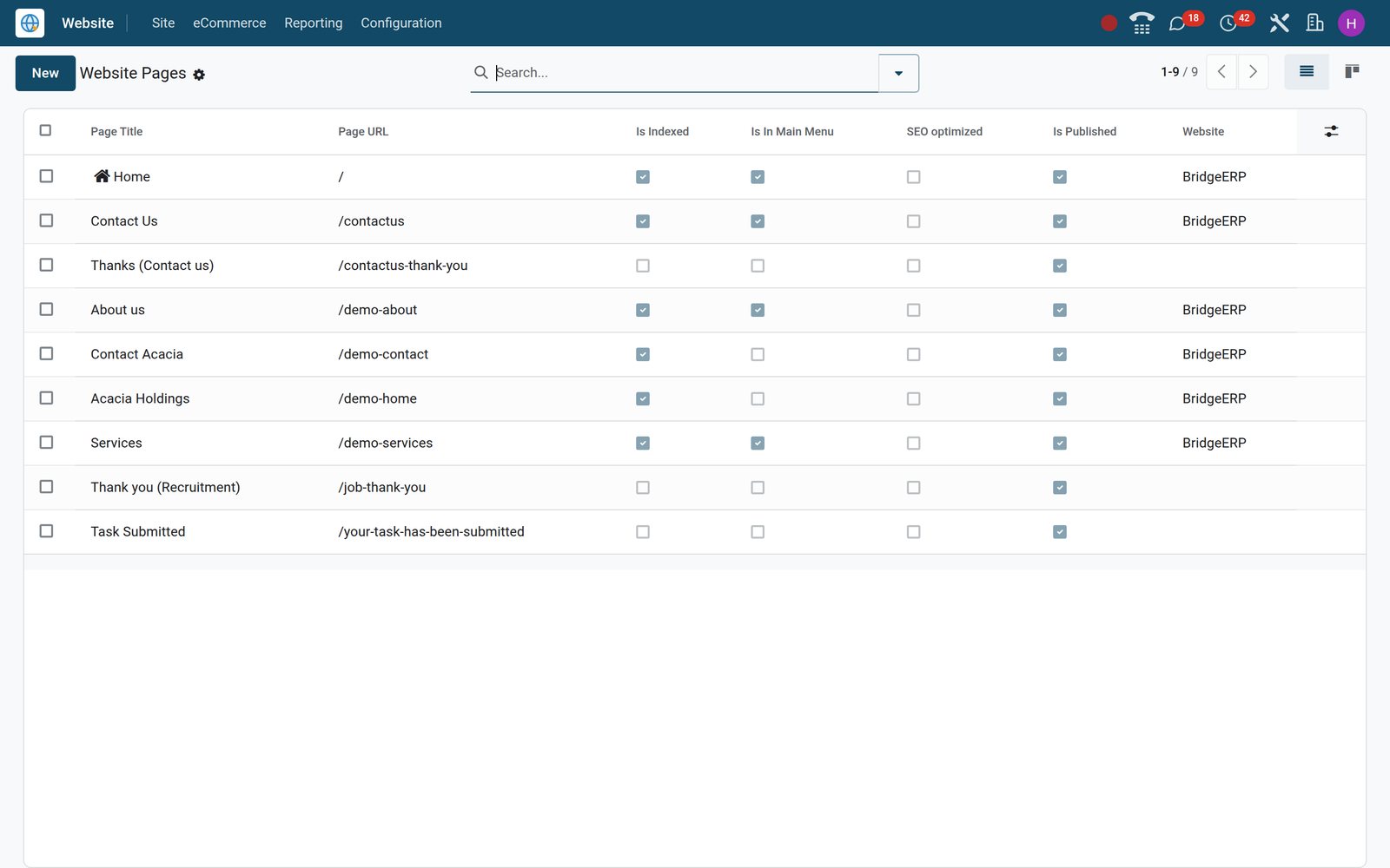 BridgeERP Website Pages list showing page names, URLs and publication status
